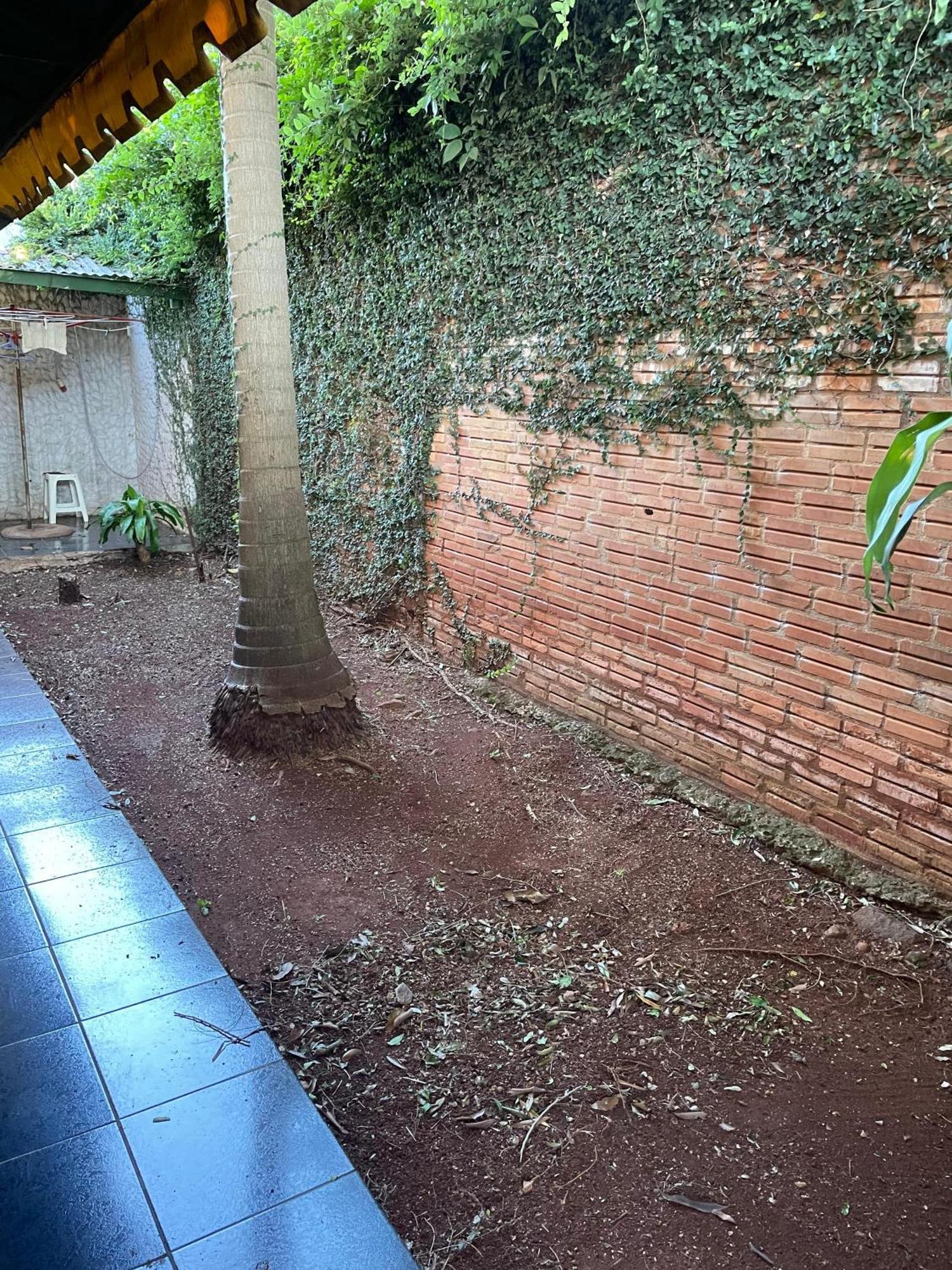 ¡Tucanes Iguazu! 伊瓜苏港 外观 照片